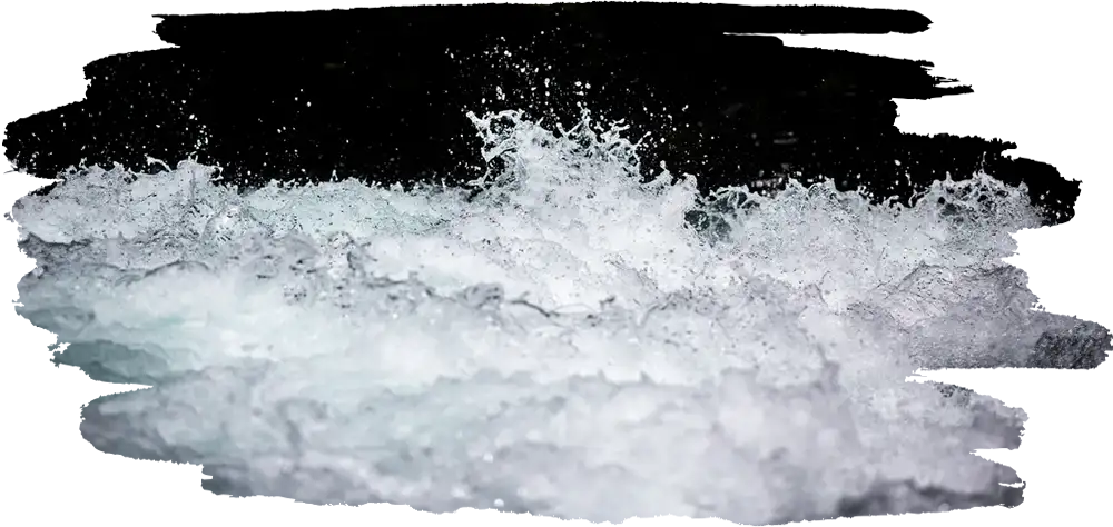 We, of the Symbiosis...Stilling Waves, Building Faith