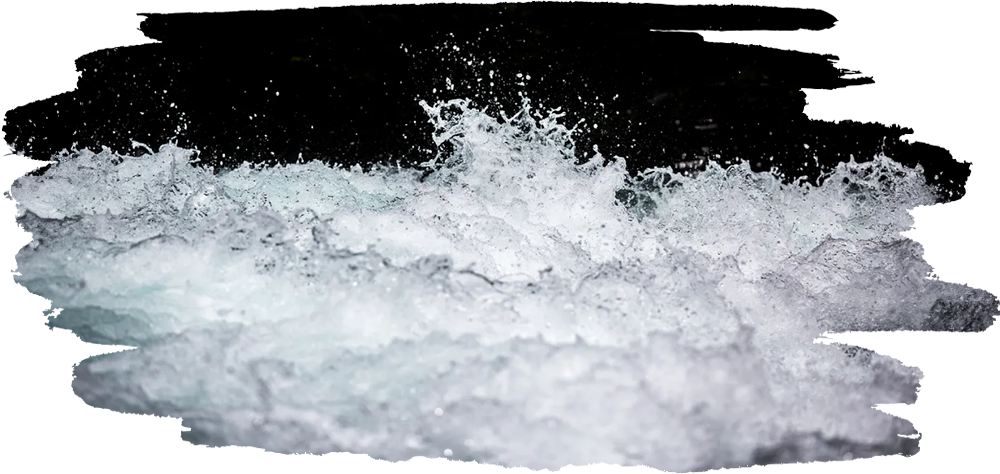 We, of the Symbiosis...Stilling Waves, Building Faith