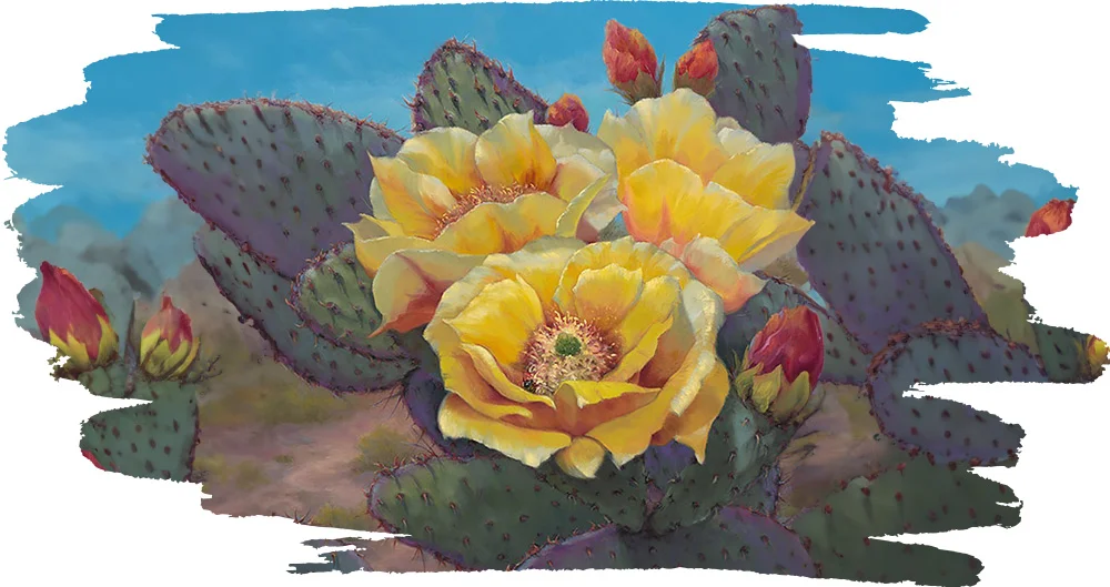 Desert Flower Endurance