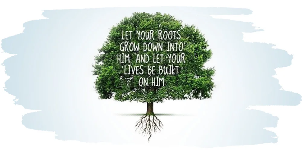 Roots