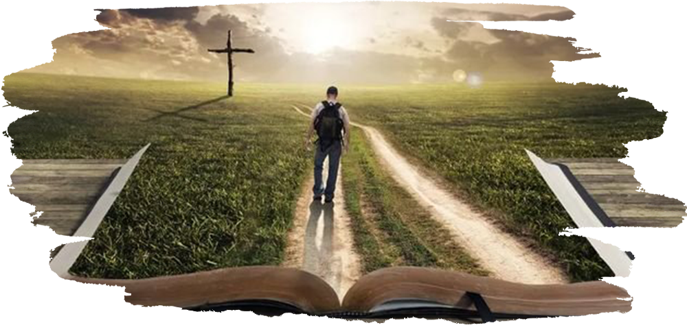 We, of the Symbiosis… Faith in Motion