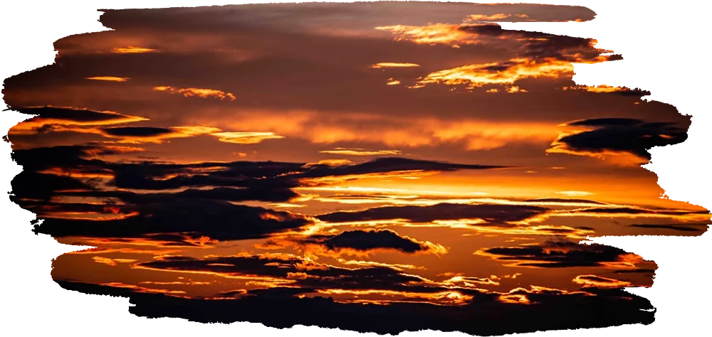 Light Changes Everything