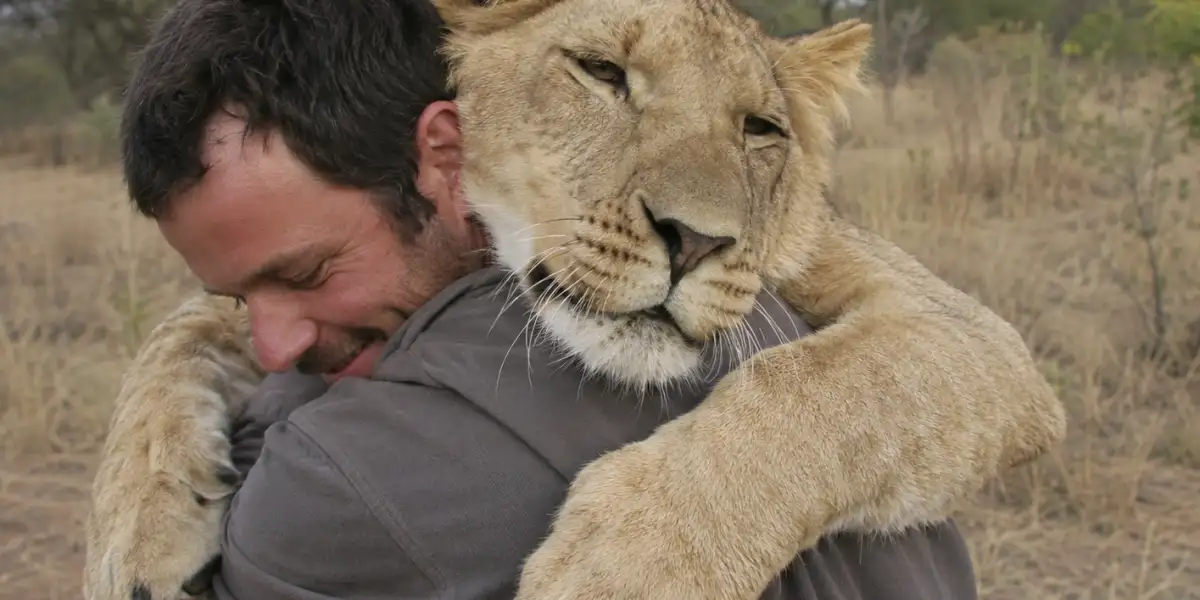 Sirga, the lioness and us